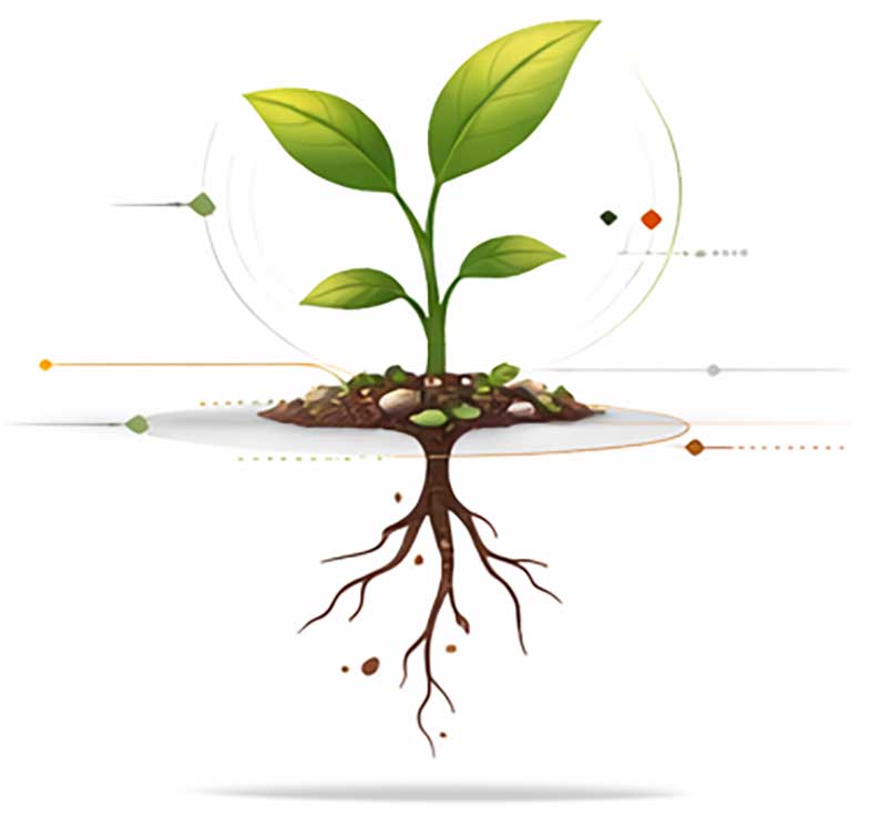 An icon of an developing plant.